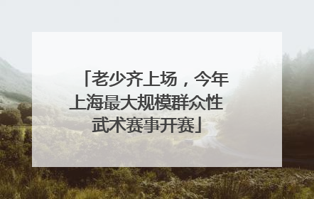 老少齐上场，今年上海最大规模群众性武术赛事开赛