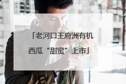 老河口王府洲有机西瓜“甜蜜”上市