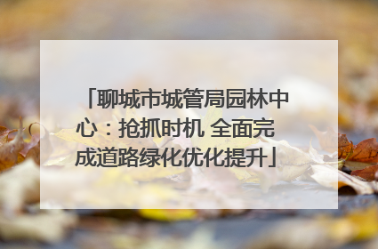 聊城市城管局园林中心：抢抓时机 全面完成道路绿化优化提升