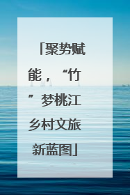 聚势赋能，“竹”梦桃江乡村文旅新蓝图