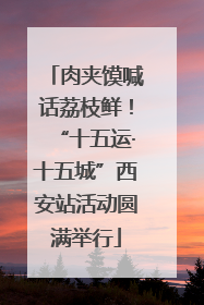 肉夹馍喊话荔枝鲜！“十五运·十五城”西安站活动圆满举行