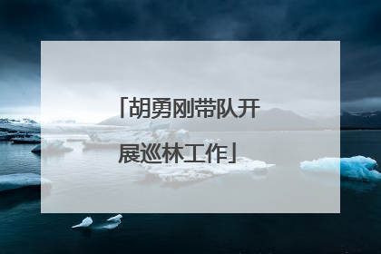 胡勇刚带队开展巡林工作