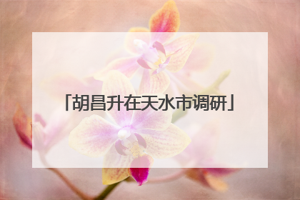 胡昌升在天水市调研