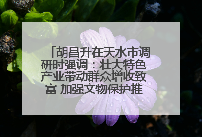 胡昌升在天水市调研时强调：壮大特色产业带动群众增收致富 加强文物保护推动文化创新发展