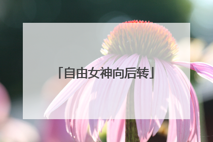 自由女神向后转