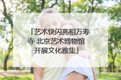 艺术快闪亮相万寿寺 北京艺术博物馆开展文化雅集
