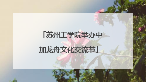 苏州工学院举办中加龙舟文化交流节