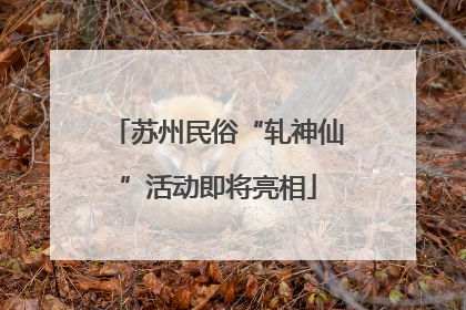苏州民俗“轧神仙”活动即将亮相
