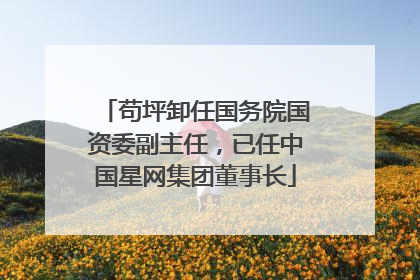 苟坪卸任国务院国资委副主任，已任中国星网集团董事长