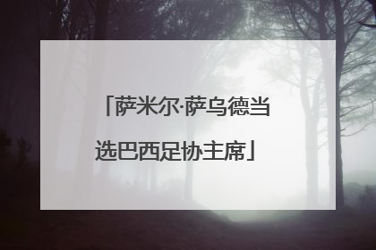 萨米尔·萨乌德当选巴西足协主席