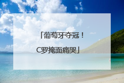 葡萄牙夺冠！C罗掩面痛哭