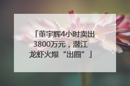 董宇辉4小时卖出3800万元，潜江龙虾火爆“出圈”