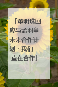 董明珠回应与孟羽童未来合作计划：我们一直在合作