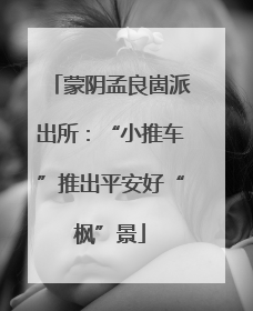 蒙阴孟良崮派出所：“小推车”推出平安好“枫”景