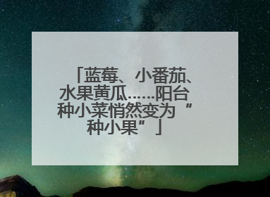 蓝莓、小番茄、水果黄瓜……阳台种小菜悄然变为“种小果”