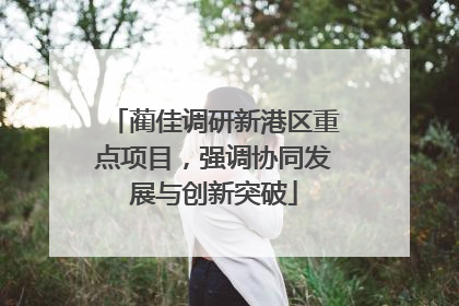 蔺佳调研新港区重点项目，强调协同发展与创新突破
