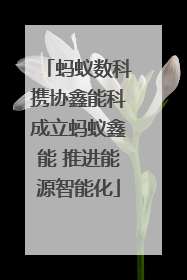 蚂蚁数科携协鑫能科成立蚂蚁鑫能 推进能源智能化