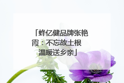 蜂亿健品牌张艳霞：不忘故土根 温暖送乡亲