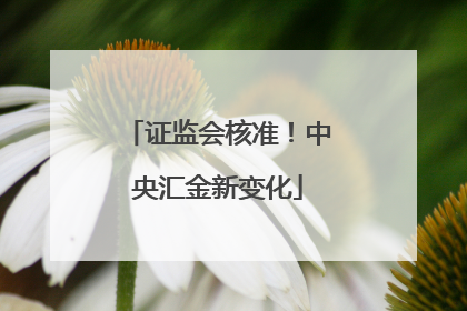 证监会核准！中央汇金新变化