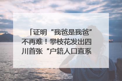 证明“我爸是我爸”不再难！攀枝花发出四川首张“户籍人口直系亲属关系谱”