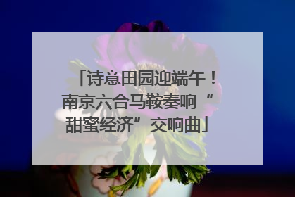 诗意田园迎端午！南京六合马鞍奏响“甜蜜经济”交响曲