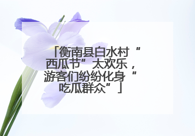 衡南县白水村“西瓜节”太欢乐，游客们纷纷化身“吃瓜群众”