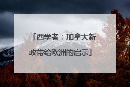 西学者：加拿大新政带给欧洲的启示