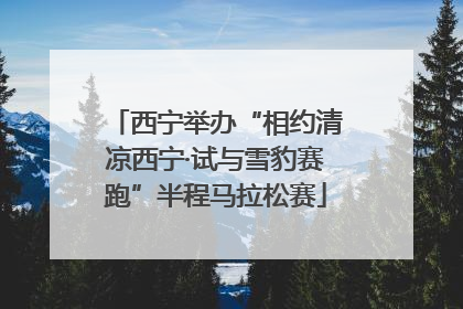 西宁举办“相约清凉西宁·试与雪豹赛跑”半程马拉松赛