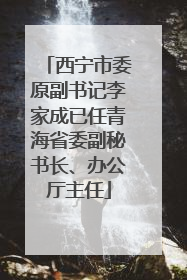 西宁市委原副书记李家成已任青海省委副秘书长、办公厅主任