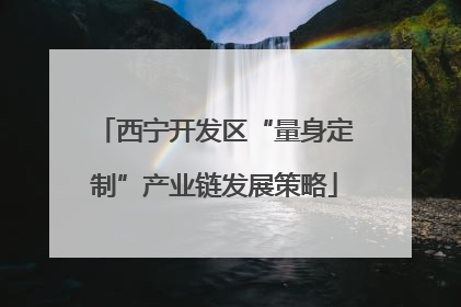 西宁开发区“量身定制”产业链发展策略