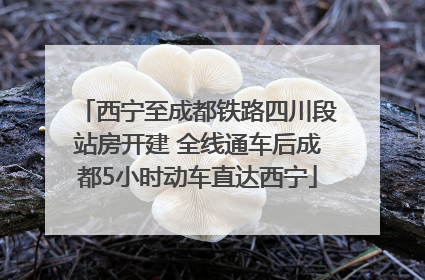 西宁至成都铁路四川段站房开建 全线通车后成都5小时动车直达西宁
