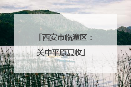 西安市临潼区：关中平原夏收