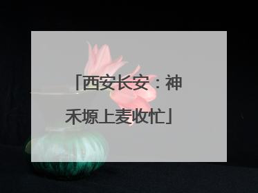 西安长安：神禾塬上麦收忙