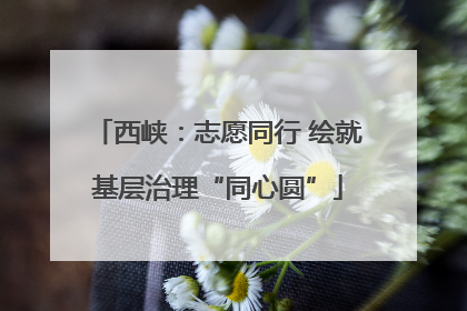 西峡：志愿同行 绘就基层治理“同心圆”