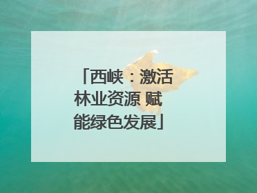 西峡：激活林业资源 赋能绿色发展