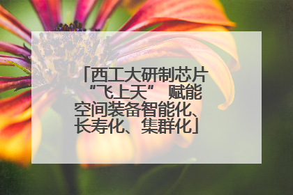 西工大研制芯片“飞上天” 赋能空间装备智能化、长寿化、集群化