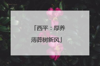 西平：厚养薄葬树新风