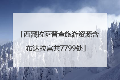 西藏拉萨普查旅游资源含布达拉宫共7799处
