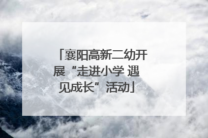 襄阳高新二幼开展“走进小学 遇见成长”活动
