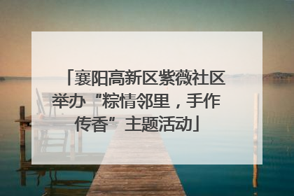 襄阳高新区紫薇社区举办“粽情邻里，手作传香”主题活动