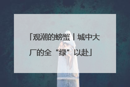 观潮的螃蟹丨城中大厂的全“绿”以赴