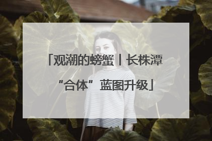 观潮的螃蟹丨长株潭“合体”蓝图升级