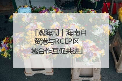 观海潮｜海南自贸港与RCEP区域合作互促共进