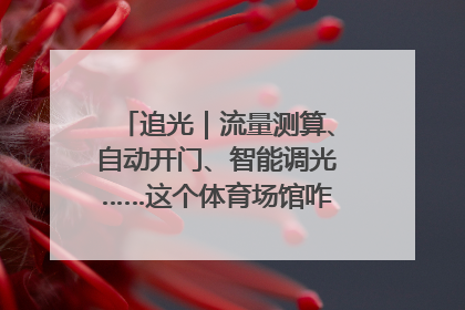 追光｜流量测算、自动开门、智能调光……这个体育场馆咋这么先进？