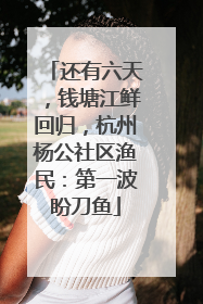 还有六天，钱塘江鲜回归，杭州杨公社区渔民：第一波盼刀鱼