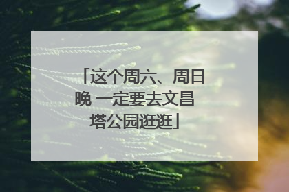 这个周六、周日晚 一定要去文昌塔公园逛逛