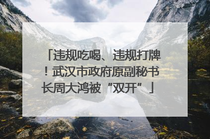 违规吃喝、违规打牌！武汉市政府原副秘书长周大鸿被“双开”