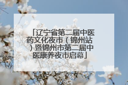 辽宁省第二届中医药文化夜市（锦州站）暨锦州市第二届中医康养夜市启幕
