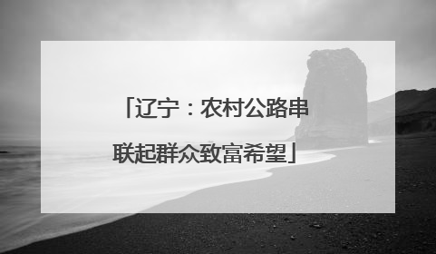 辽宁：农村公路串联起群众致富希望