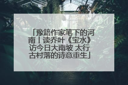豫籍作家笔下的河南丨读乔叶《宝水》访今日大南坡 太行古村落的诗意重生